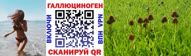Галлюциногенные грибы мухоморы  как найти   Грозный 