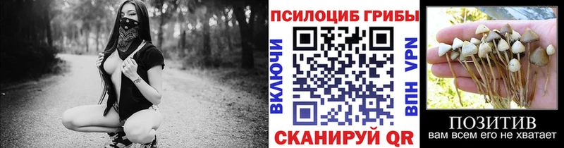 Псилоцибиновые грибы мицелий Грозный